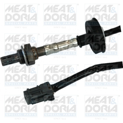 Oxygen Sensor